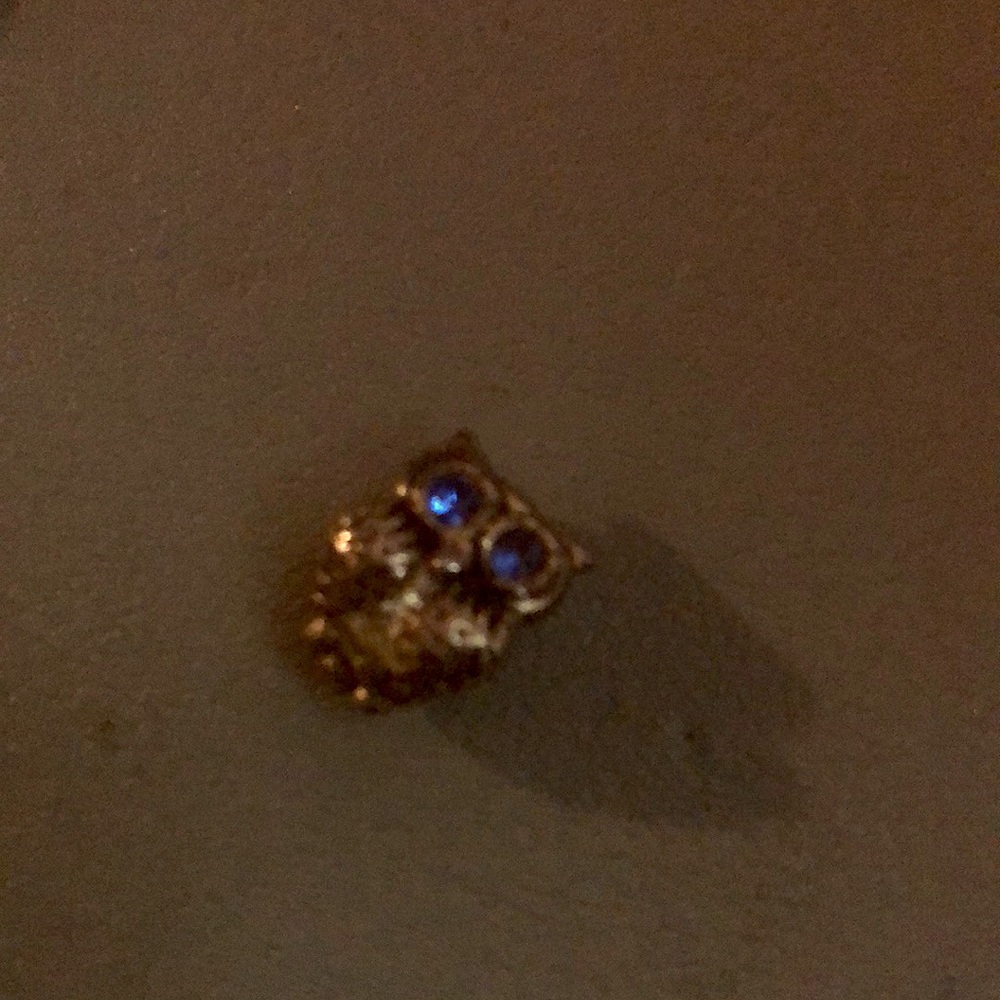 Blue eyes owl charm